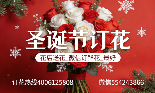凉山州宁南县花店送花_微信订鲜花_圣诞节订花_最好? 凉山州宁南县花店